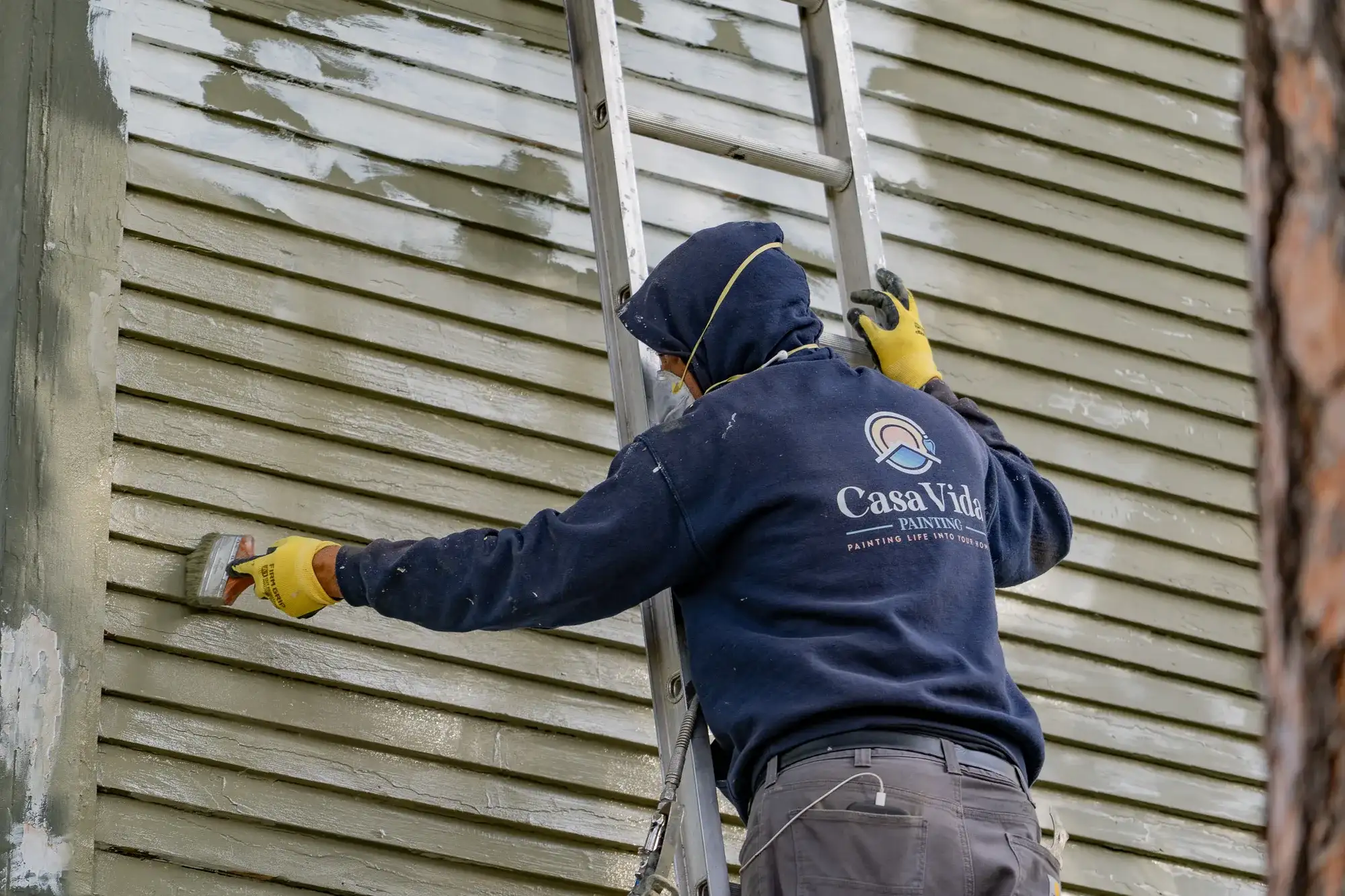 Casa Vida painter on a ladder brushing paint onto scraped green lap siding